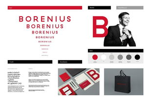 Borenius芬兰最大的律师事务所品牌视觉形象设计